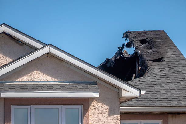 Licensed Content Restoration service in Bridgeport, NJ - Fire Damage Biloxi